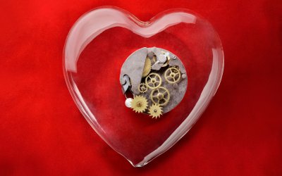 Research: Walnuts love heart
