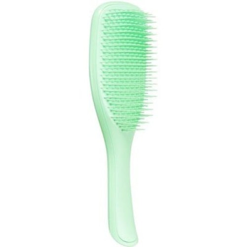 Tangle Teezer The Wet Detangler 